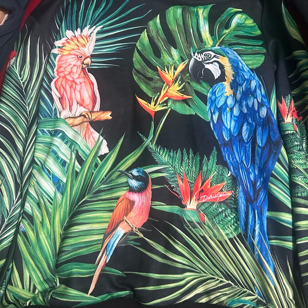 Dolce & Gabbana Black Sweater with Colorful Jungle and Bird Print
